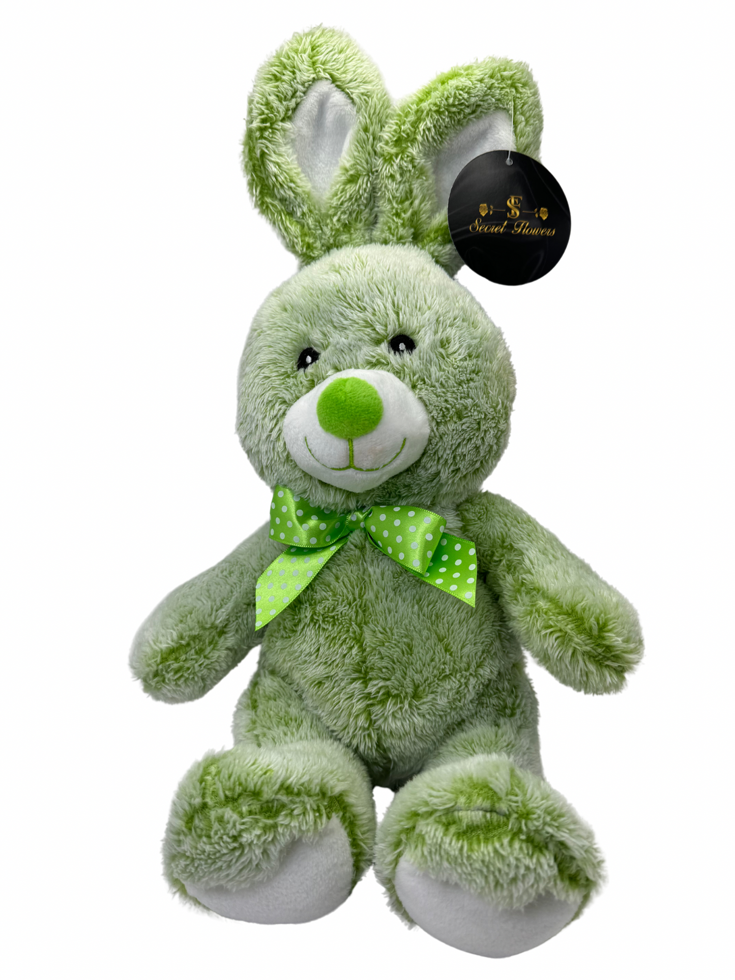 Teddy lapin