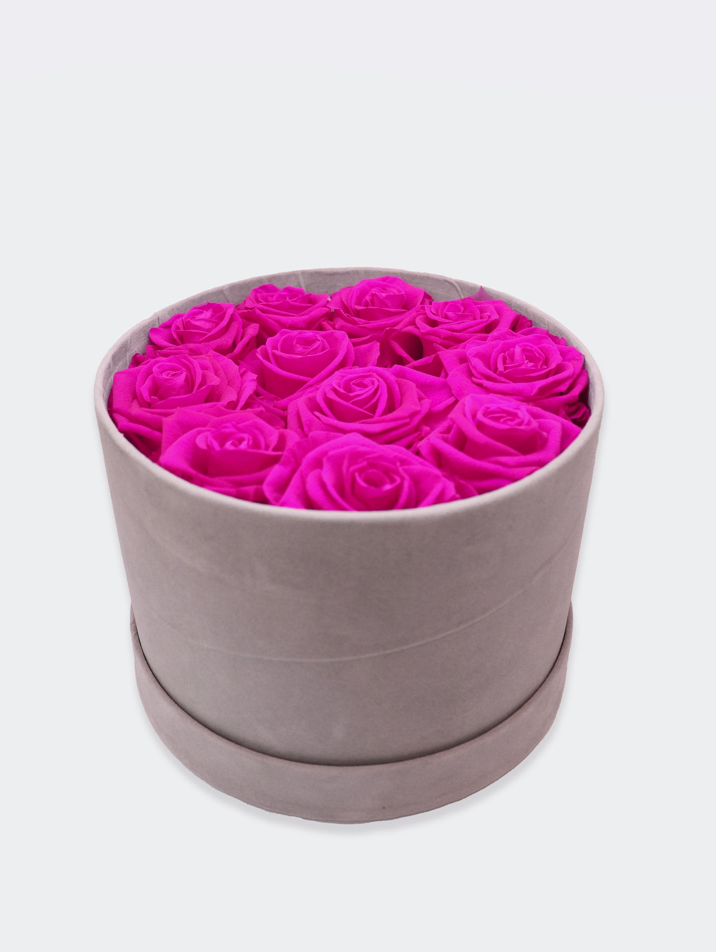 Fuchsia box