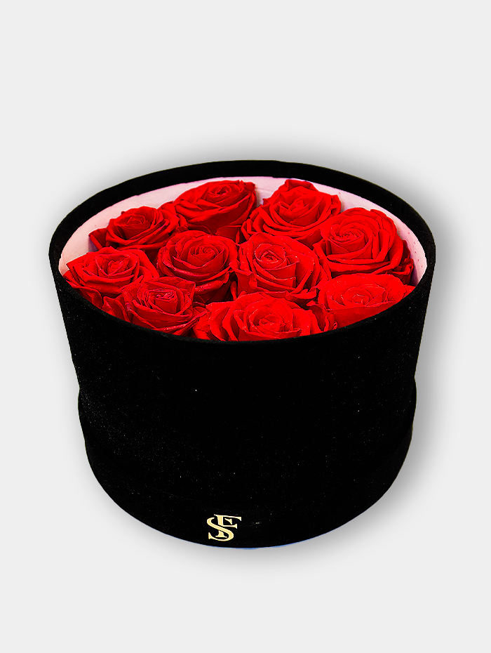 Black velvet Box