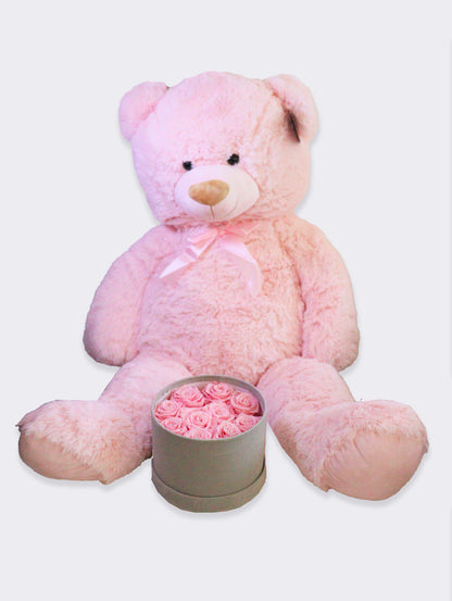 Pack Teddy baby shower/gender reveal