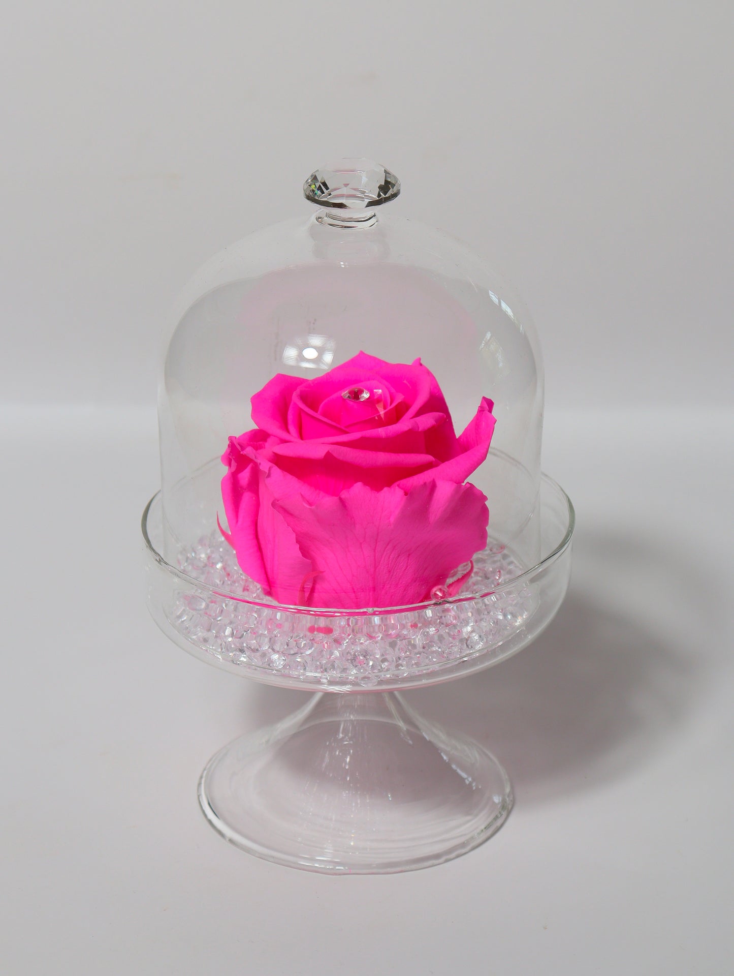 Cloche verre avec rose