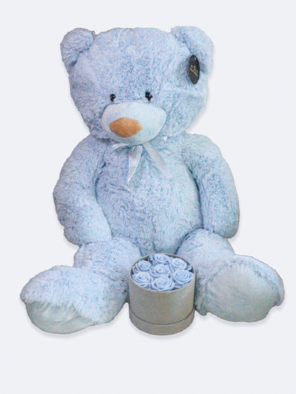 Pack Teddy baby shower/gender reveal